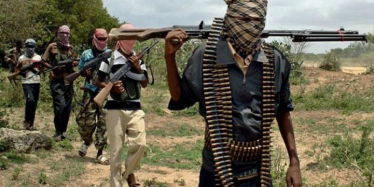 Tragedy as Boko Haram members behead 11 loggers in Borno 9 boko haram