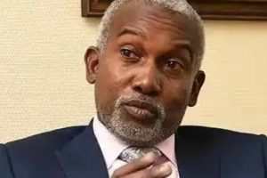 Nigeria Witnessing Significant Investments Under Tinubu – Minister 17 Nigeria Witnessing Significant Investments Under Tinubu – Minister