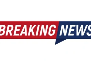 BREAKING: FEC Exempts Universities, Polytechnics, CoEs From IPPIS 9 BREAKING