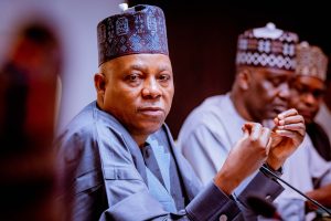 Nigeria Will Bounce Back In A Couple Of Months – Shettima