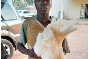 Police arrest teenager for sexually assaulting a cock 3 Teenage boy nabbed for alleged intimacy with cock