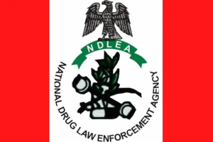 NDLEA urges sustainable alternative livelihood for drug traffickers 10 ndlea