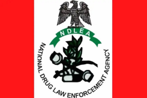 ndlea