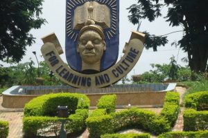 Tragedy as OAU final year student dies in campus auto crash