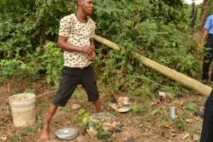 Two arrested for killing, dismembering 100-level OAU student in Ogun