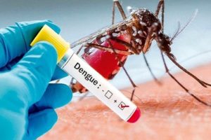 Federal government confirms outbreak of dengue virus with 71 cases in Sokoto