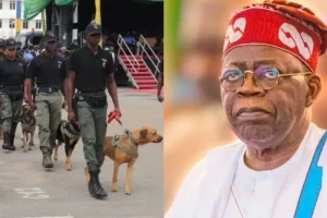 2024 budget: FG spends N720k to feed dogs daily 1 FG spends N720k to feed dogs daily