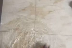 Nigerian Woman Shares State Of Her Home After She Left Her Kids With Their Father (Video) 11 flood house