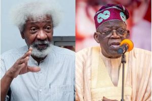 Real reason I haven't criticized Tinubu's govt – Soyinka 4 images 26