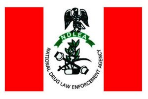 NDLEA Seizes 1,458.709kgs Illicit Substances, Arrests 103 Suspects In Kaduna 9 images 90