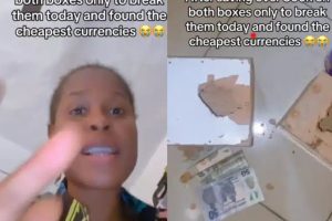 Lady Cries Out After Breaking Her Piggy Banks To Find Just N20, N50 in It (Video) 4 piggy bank