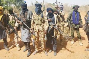 16 family members, 5 others abducted in fresh attack on Niger village