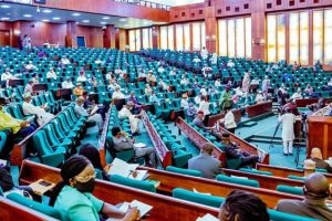 Reps Establish Committee to Investigate Causes of Plateau Crises 7 House of Reps3 750x375 1