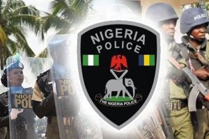 Nigeria Police Force 2