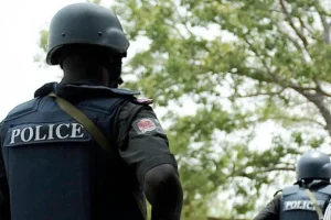 Police arrest spiritualist in Benin for blackmailing, swindling women with nude videos 19 police