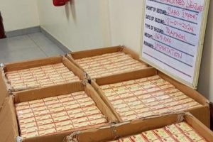 NDLEA intercepts large consignment of Canadian Loud in Lagos, seizes 300,000 tramadol pills 14 Screenshot 20240114 124749