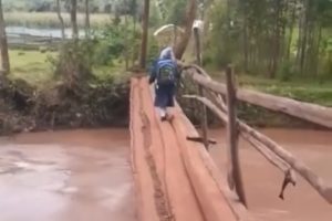 Video Of A Little Girl Crossing A Dilapidated Bridge While On Her Way To School Goes Viral 3 Screenshot 20240116 201129