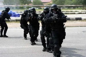 DSS denies arrest of Miyetti Allah president 2 DSS