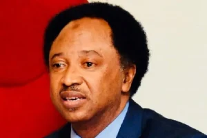 Insecurity: Shehu Sani bemoans increasing rate of banditry in Kajuru 5 shehu sani says 1024x552 1