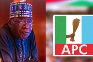 Opposition Parties Behind Minna, Kano Protests - APC 6 APC