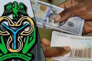 CBN allocates $20,000 to each BDC to stabilize the Naira 1 BDC