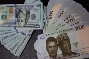 Dollar To Naira Exchange Rate Today