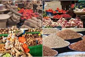 FG To Set Up Commodity Board To Regulate Food Prices 20 Food Prices