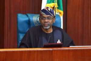Student Loan Scheme To Begin In 3 Weeks — Gbajabiamila 14 Gbajabiamila