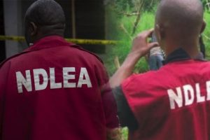 NDLEA Arrests Man For Supplying Drugs To Terrorists 7 NDLEA 640x358 1