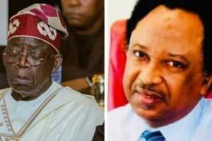 AFCON 2023: Only God would’ve saved Tinubu from koboko if he attended final – Shehu Sani 3 Tinubu and Shehu sani 2048x1366 1 750x375 1