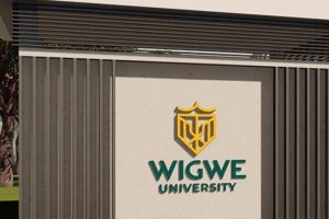 Wigwe University