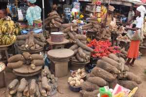 Food prices drop in Kano,Niger, Kwara, Taraba 13 images 50