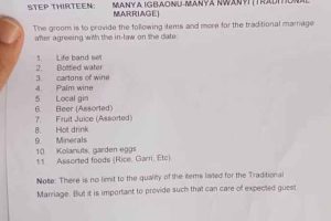 Nigerian Lady Laments Over Outrageous Bride Price List Her Brother Received From Bride's Family 15 list