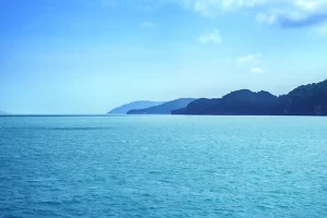 11 Bodies Found In Indonesian Waters 12 Indonesian Waters