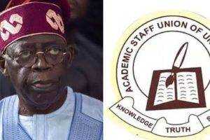 Let Lecturers Breathe Do Not Suffocate Us, ASUU Tells Tinubu 1 images 2024 05 24T163328.968
