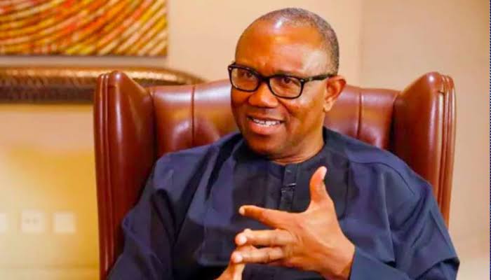 Cybersecurity Levy: Tinubu Govt Interested In Milking A Dying Economy – Peter Obi
