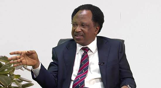 2027: Shehu Sani Warns Northern Leaders Against Plot to Unseat Tinubu 1 Shehu Sani