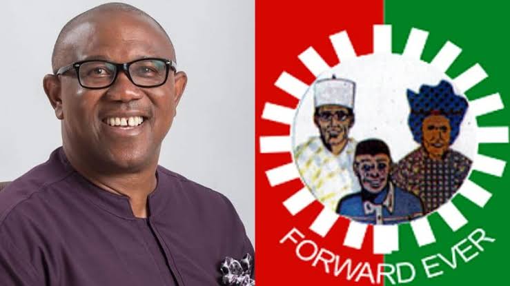 2027: Labour Party Denies Plans to Replace Peter Obi as Presidential Candidate 1 images 44 1