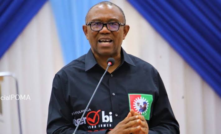 Peter Obi Urges Tinubu Govt to Protect Nigerians, Insists Killing Spree Must Stop 1 images 48