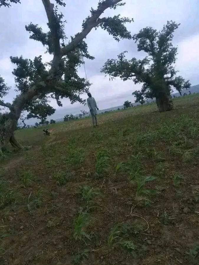 Young Man Commits Suicide In Gombe (Photos) 1 18570068 g11721040159 jpegd2c0c1e3b674f82c584032c06e7e6fbe