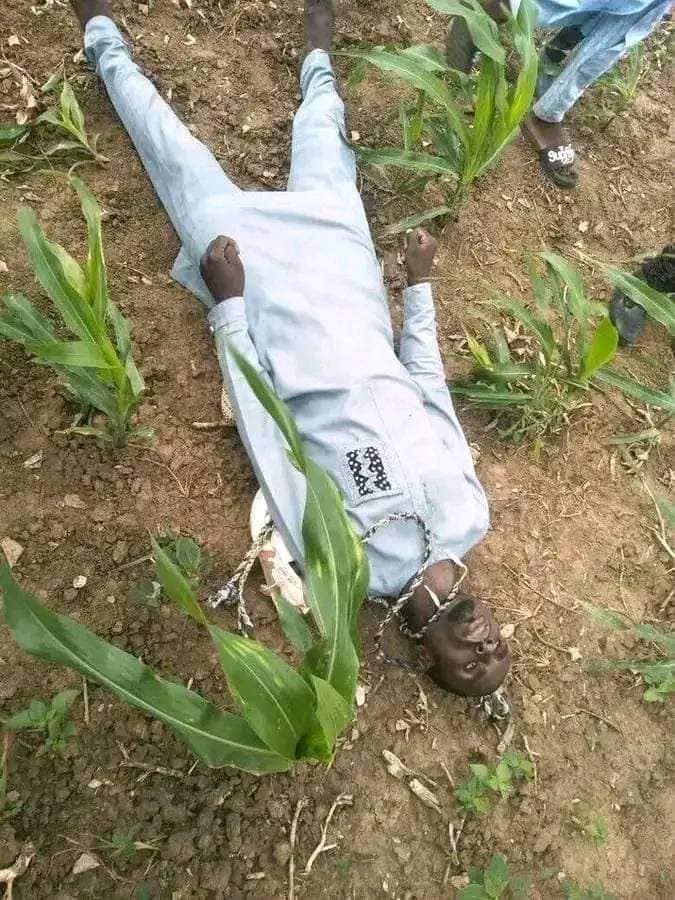 Young Man Commits Suicide In Gombe (Photos) 4 18570069 g21721040176 jpegbfb243e49087785df78a92c9d3ecc4d4