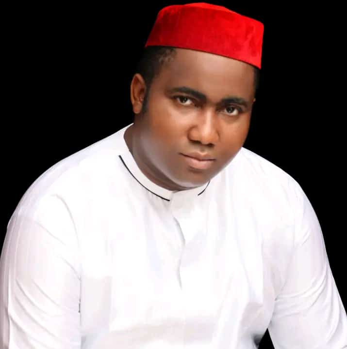 Diplomatic Engagement, the Way out Nigeria’s Economic Hardship, not protest - Entrepreneur Maduka 1 IMG 20240730 WA0313