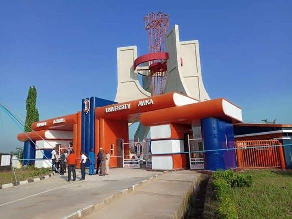 BREAKING: Nnamdi Azikiwe University Awka Appoints Prof Carol Umobi as Acting Vice Chancellor 1 Nnamdi Azikiwe University