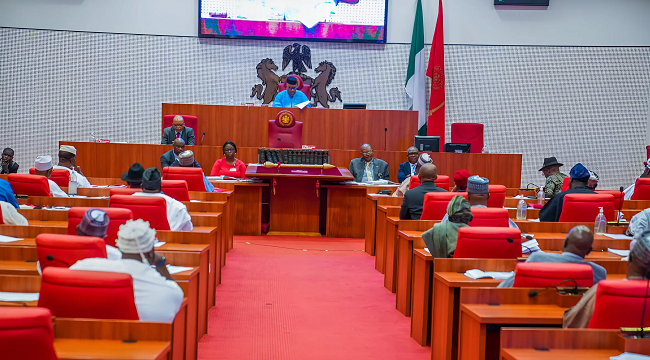 Senate identifies Lake Chad, Sambisa as Boko Haram hot spots 1 Senate