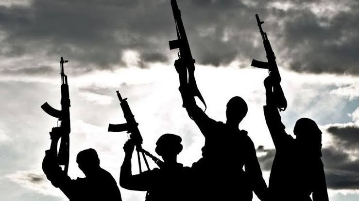 BREAKING: Traditional Ruler Of Owerre-ezukala, Thomas Ogbannaya Accused of Working For Unknown Gunmen 1 images 2