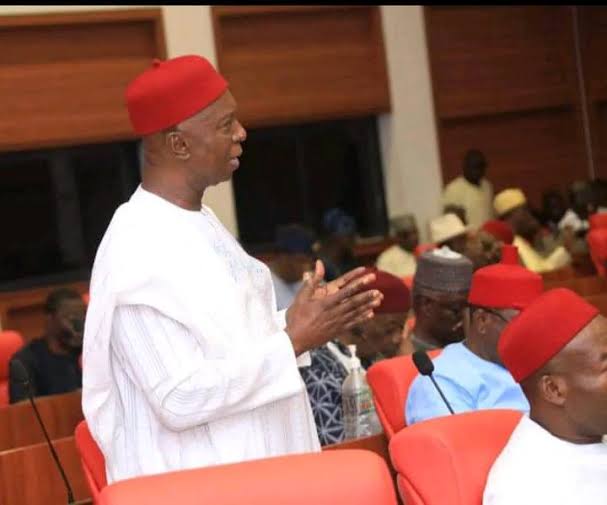 Senator Ned Nwoko's Vision for Anioma State Takes Shape as Bill Passes First Reading 1 Ned Nwoko