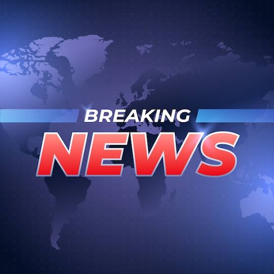 BREAKING: ECOWAS court finds FG guilty of rights violation during #EndSARS protest 1 images 5 5