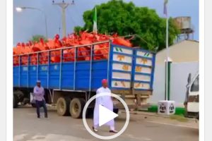 Governor Abba Yusuf Inspects Wheelbarrows For Empowerment In Kano 17 18647736 chromescreenshotaug6202492920pmgmt0100 jpeg94480a2a6dce3ba942e633ca3b5c20ca