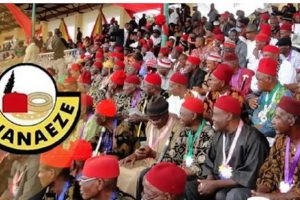#IgboMustGo threat: Halt genocidal plot now - Ohanaeze to Nigerian Govt 12 Ohanaeze