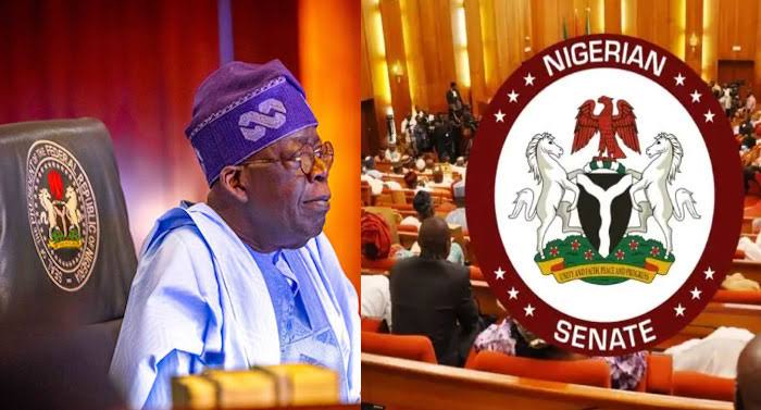 Tinubu Seeks Senate Approval for Seven New Ministerial Nominees Amid Cabinet Shakeup 1 Tinubu and Senate
